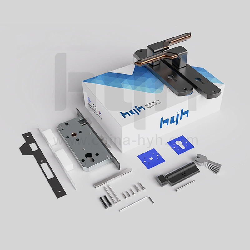 Hot Sale External New European Zinc Alloy Exit Door Lock